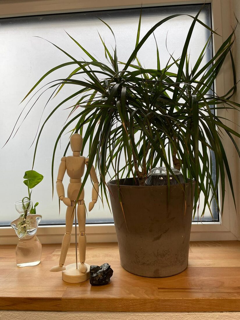 Pflanze und Systembrett-Figur